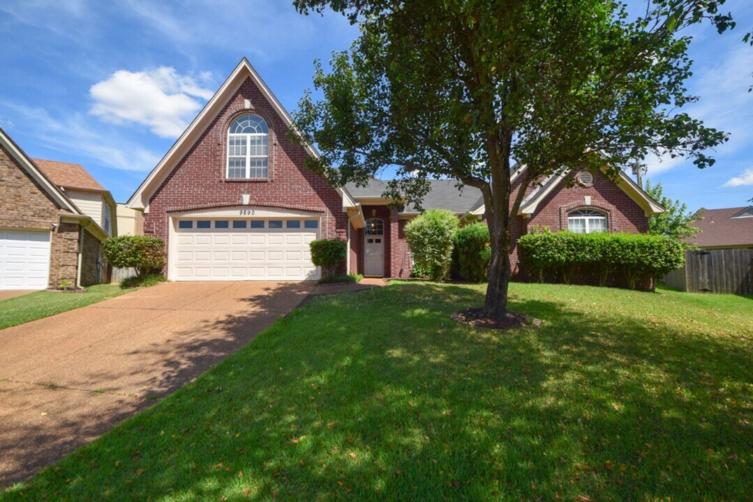 9890 Leda Cove in Cordova, TN - Building Photo