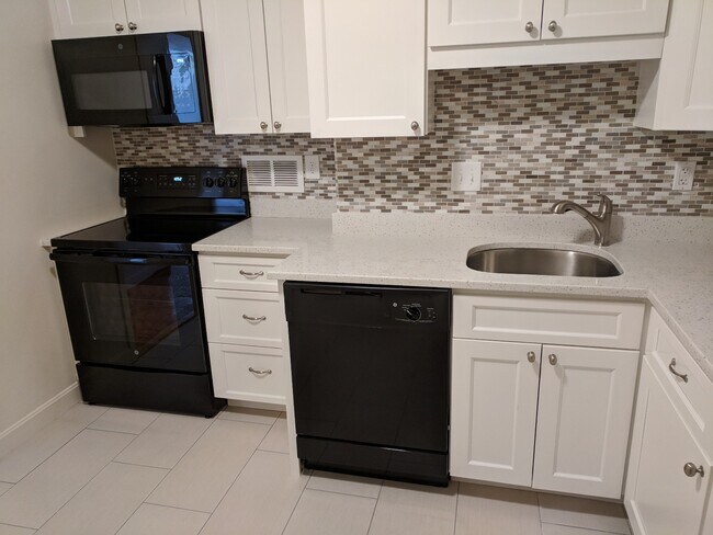 101 Monmouth St in Brookline, MA - Building Photo - Building Photo