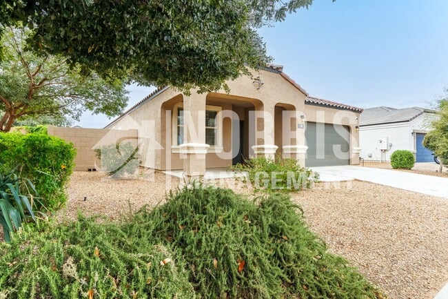 290 San Marino Lp in Casa Grande, AZ - Building Photo - Building Photo