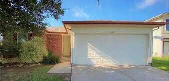 11513 Dove Flight Dr in Austin, TX - Building Photo