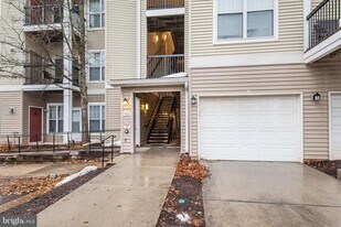 5124 Brittney Elyse Cir in Centreville, VA - Building Photo