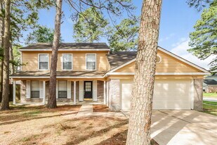 9202 Towerstone Dr in Spring, TX - Building Photo