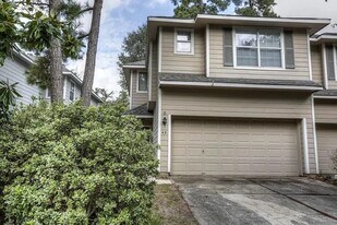 43 Blue Creek Pl in Spring, TX - Building Photo