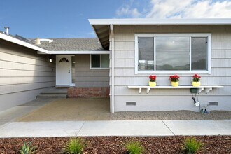 1 Sharilyn Ln in Novato, CA - Building Photo - Building Photo