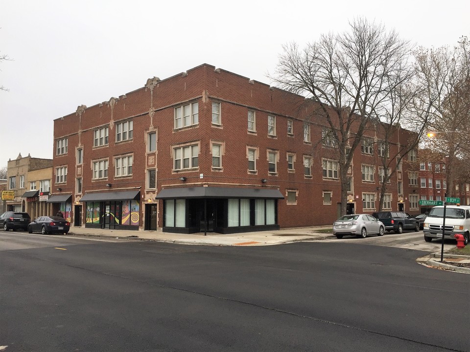 8248-8250 S Eberhart Ave in Chicago, IL - Building Photo