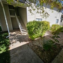 3500 Rolling Green Dr, Unit B4 in Fort Collins, CO - Foto de edificio - Building Photo