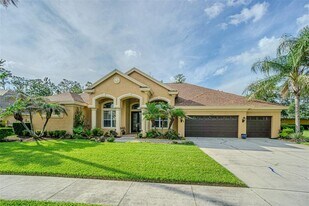 27447 Water Ash Dr in Wesley Chapel, FL - Building Photo
