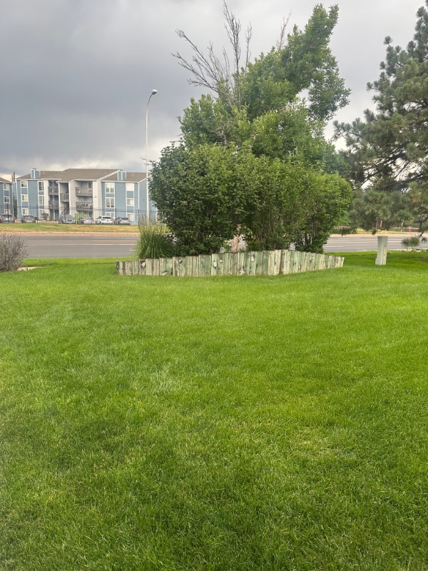 1362 Firefly Cir in Colorado Springs, CO - Building Photo - Building Photo