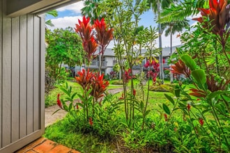 4121 Rice St in Lihue, HI - Building Photo - Building Photo