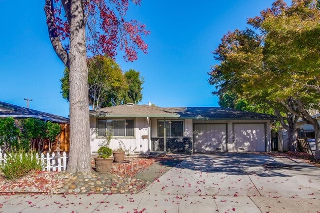 property at 683 Arbutus Ave