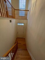 6256 Shackelford Terrace in Alexandria, VA - Building Photo