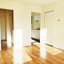 67 Ellery St, Unit 2 in Cambridge, MA - Building Photo - Building Photo