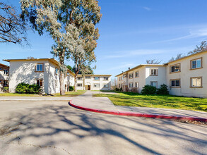 Vista Robles in Paso Robles, CA - Building Photo - Building Photo