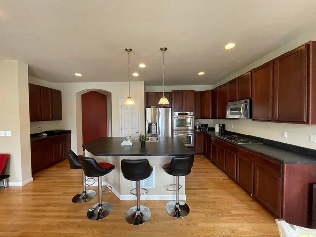 17784 Coral Burst St in Parker, CO - Building Photo - Building Photo