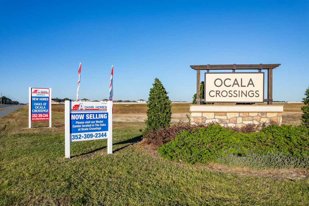 The Pines at Ocala Crossings South in Ocala, FL - Building Photo