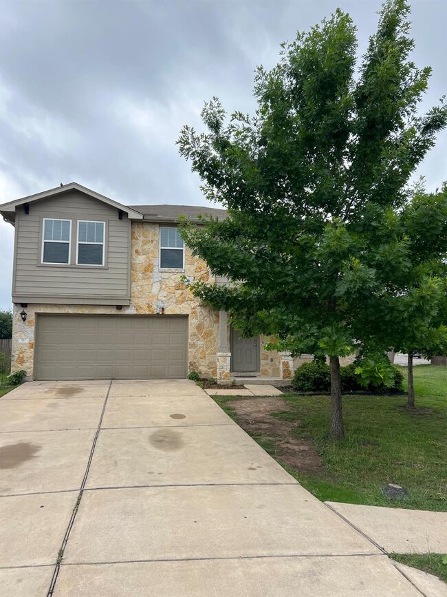 117 Scurlock Ct in Hutto, TX - Foto de edificio - Building Photo