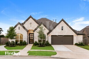 21438 Martin Tea Trl in Tomball, TX - Building Photo