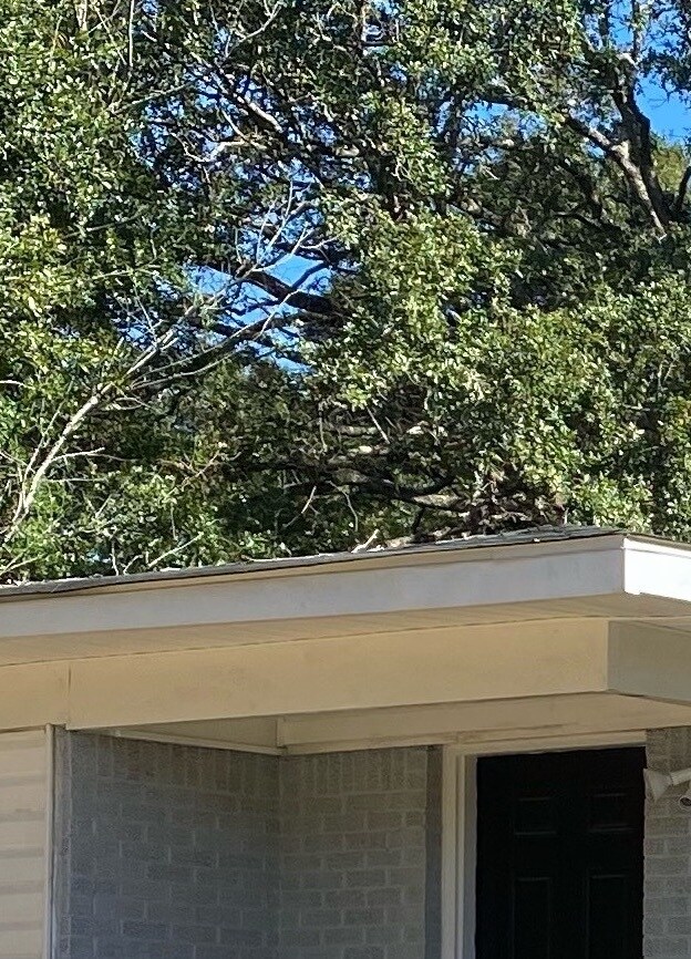 property at 705 Raines Dr