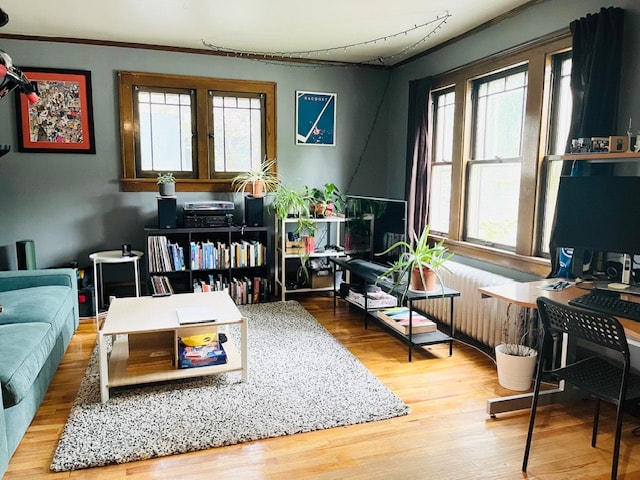 1008 E 37th St in Minneapolis, MN - Building Photo - Building Photo