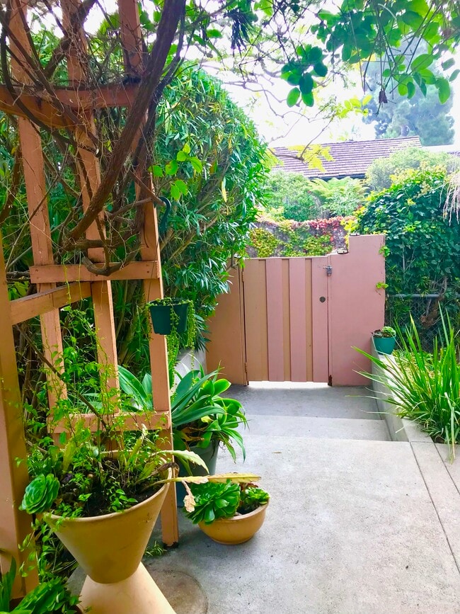 345 Amalfi Dr, Unit Studio in Santa Monica, CA - Building Photo - Building Photo