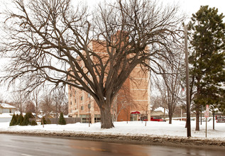 311 University Ave NE in Minneapolis, MN - Building Photo - Building Photo