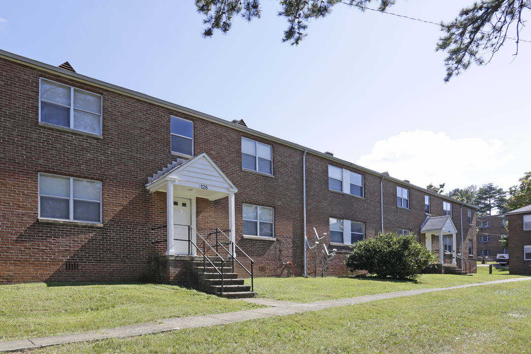 Chapman Square Apartments in Knoxville, TN - Building Photo