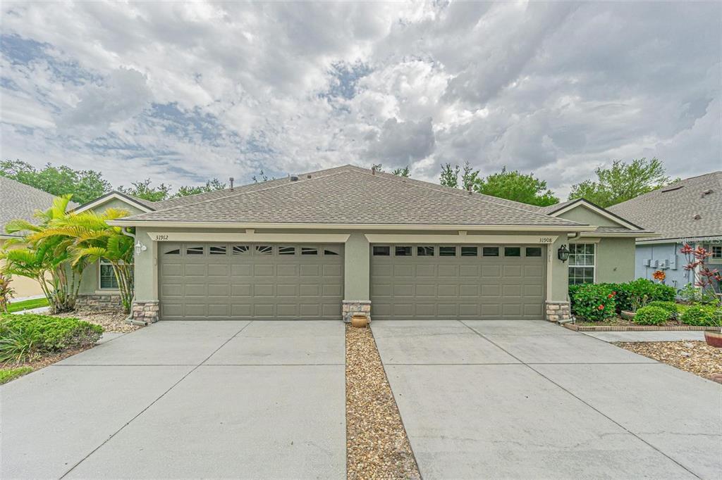 31912 Turkeyhill Dr in Wesley Chapel, FL - Building Photo