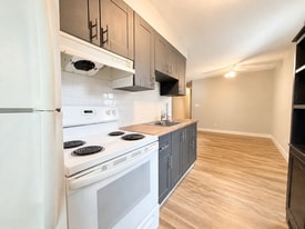 684 Lincoln Rd in Windsor, ON - Building Photo