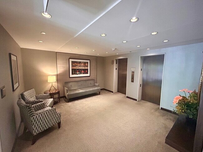 50 E Bellevue Pl in Chicago, IL - Building Photo - Building Photo