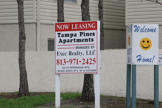 Tampa Pines in Tampa, FL - Building Photo - Other