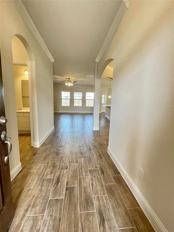 2813 Bobcat Dr in Melissa, TX - Building Photo - Building Photo