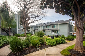 Cedar Glen in Campbell, CA - Building Photo - Building Photo