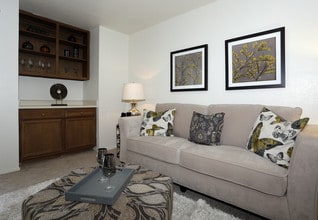 Wildflower in Midland, TX - Foto de edificio - Building Photo