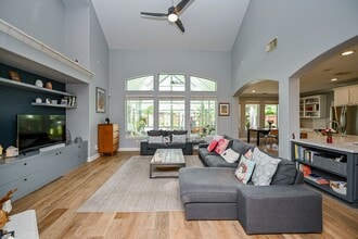 6342 Collina Springs Ct in Houston, TX - Building Photo - Building Photo