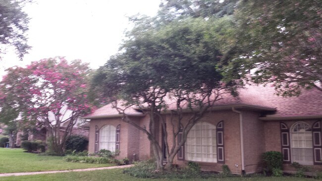 2304 Canyon Valley Trail in Plano, TX - Foto de edificio - Building Photo
