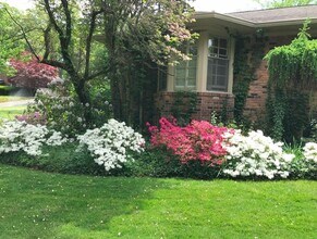 645 Lone Pine Rd in Bloomfield Hills, MI - Building Photo - Building Photo