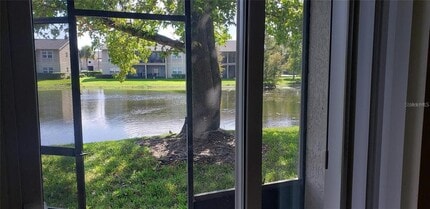 9927 Turf Ct in Orlando, FL - Building Photo - Building Photo