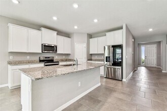 33870 Field Maple Lp in Wesley Chapel, FL - Building Photo - Building Photo
