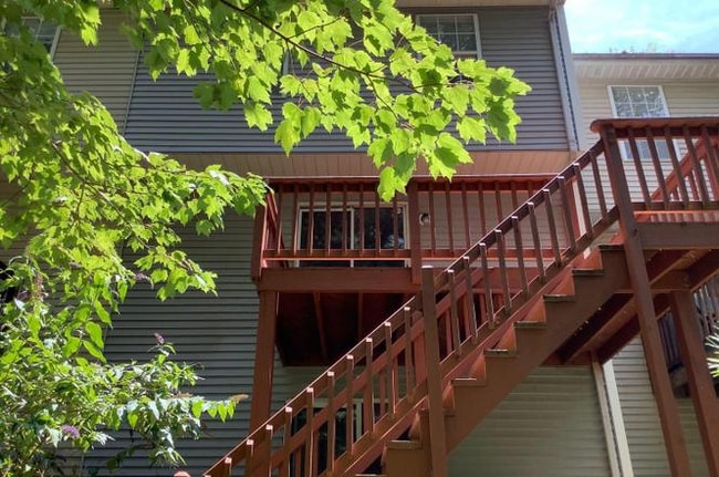 659 Realm Ct W in Odenton, MD - Building Photo - Building Photo