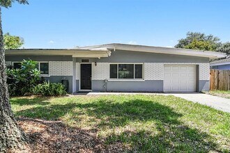 1048 Mary Jane Ln in Dunedin, FL - Building Photo - Building Photo