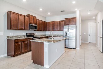 32069 Blue Passing Loop in Wesley Chapel, FL - Building Photo - Building Photo