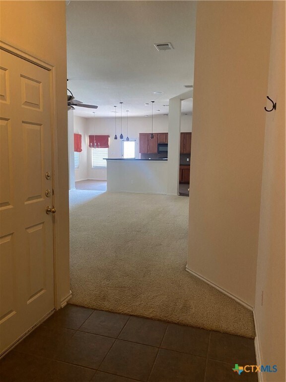 112 Yaupon Cove in Kyle, TX - Building Photo - Building Photo