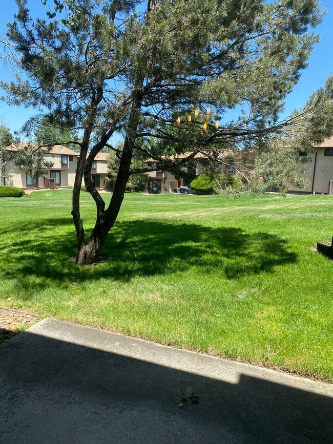 5037 Rainbow Harbour Cir in Colorado Springs, CO - Building Photo - Building Photo