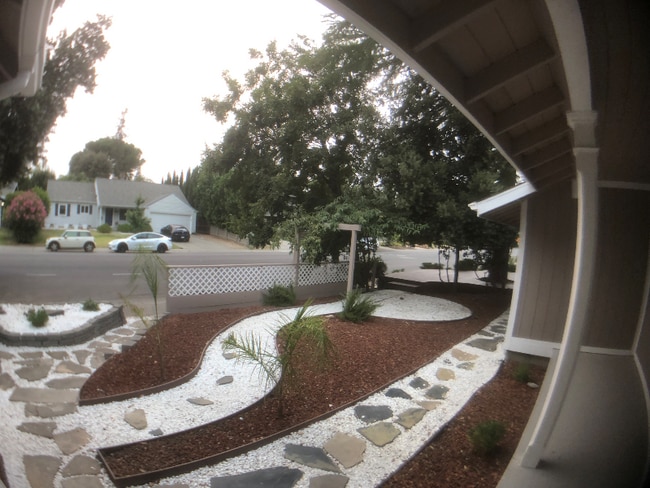906 Sycamore Ln in Davis, CA - Building Photo - Building Photo