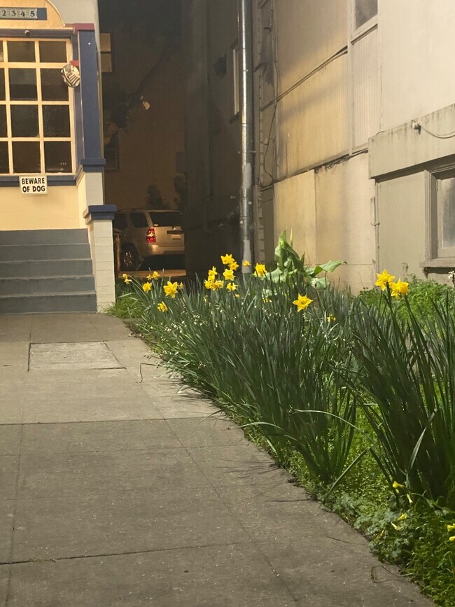 2345 Fulton St in Berkeley, CA - Building Photo - Building Photo