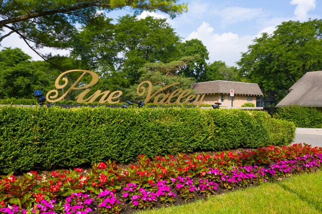 Pine Valley Apartments in Ann Arbor, MI - Building Photo - Building Photo