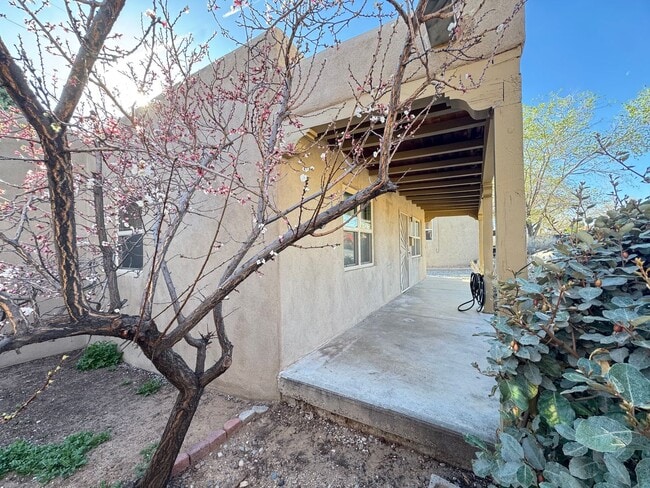1142 Vassar Dr NE in Albuquerque, NM - Building Photo - Building Photo