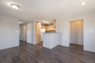 Amistad Apartments in Donna, TX - Building Photo - Interior Photo