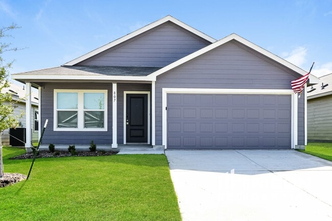 property at 807 Ginkgo Wy