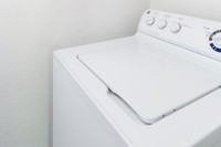 Alpine Meadows photo'